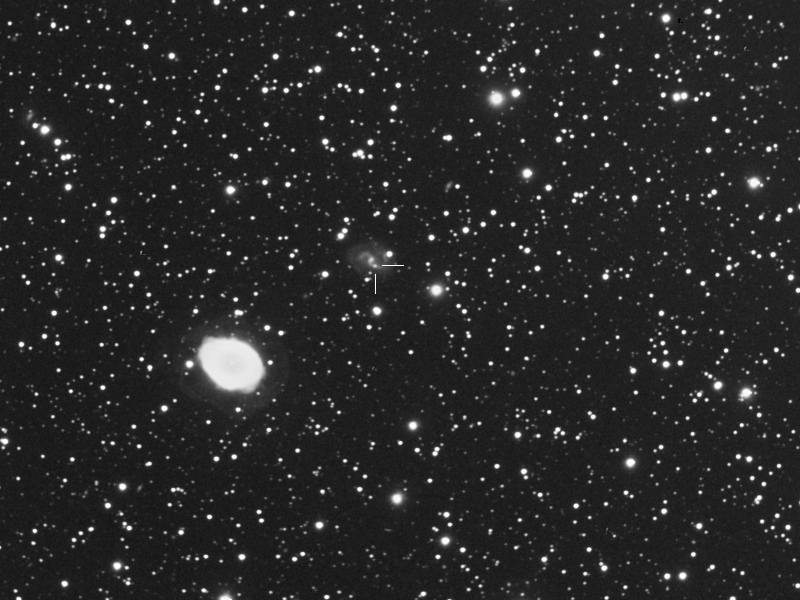 Supernova 2013ev in IC1296
