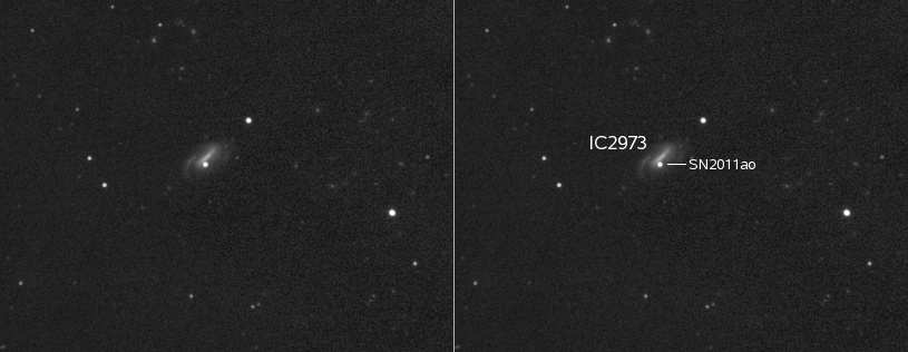 Supernova 2011ao in IC2973