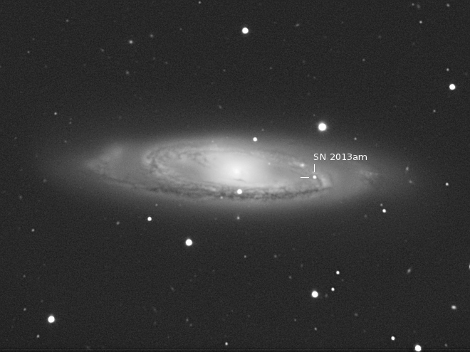 Supernova 2013am in M65 in Leo