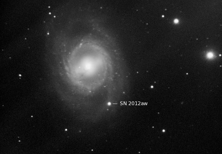 Supernova 2012aw in M95 in Leo