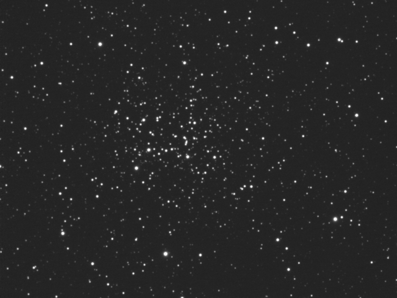 Offener Sternhaufen NGC 2194 in Ori