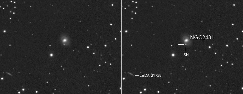 Supernova 2011bh in NGC2431
