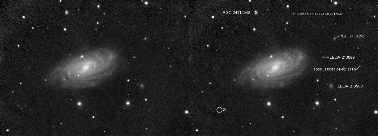 Galaxie NGC3953