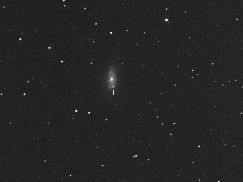 Supernova iPTF13bvn in NGC5806