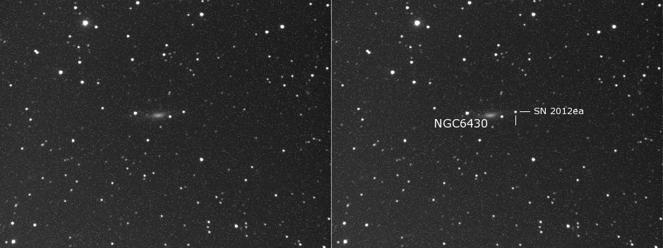 Supernova 2012ea in NGC6430