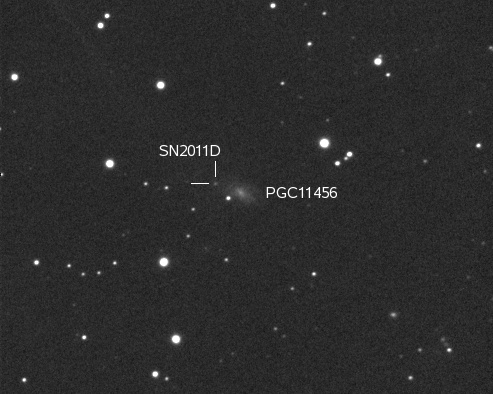 Supernova 2011D in PGC11456