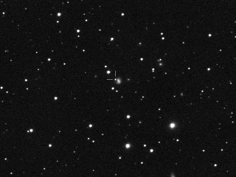 Supernova 2019ymy (=ASASSN-19aeb)