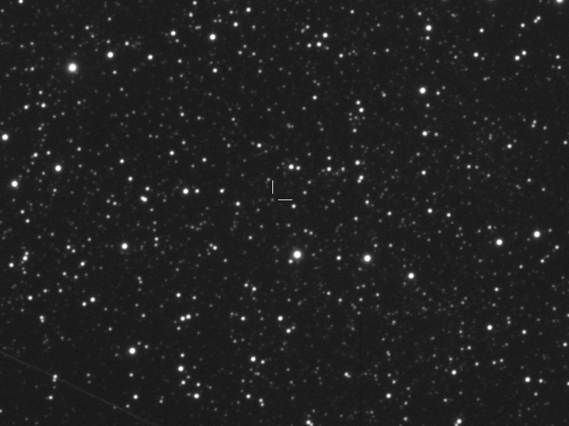 Nova in Sagittarius (PGIR22gjh, AT2022iev)