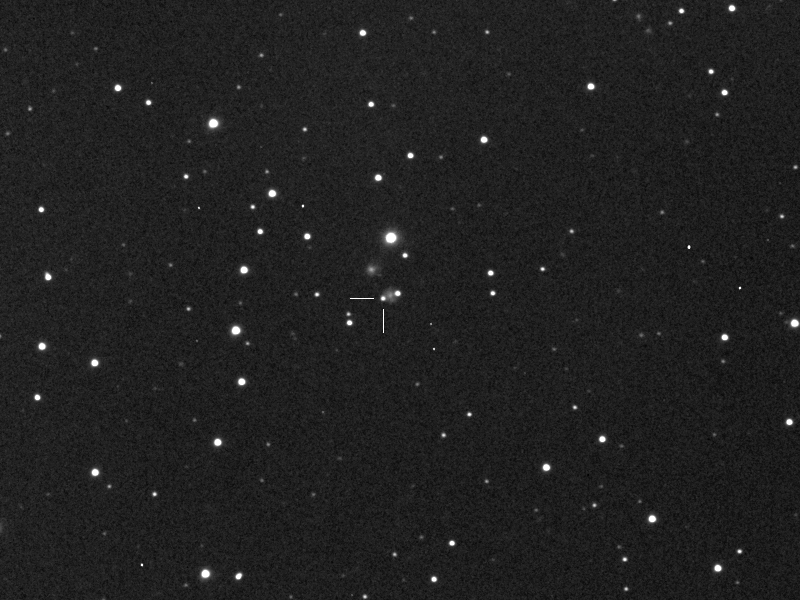 Supernova ASASSN-15ho in 2MASXi J0909234-044327