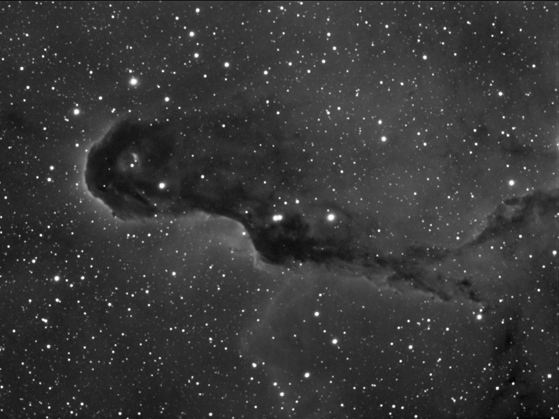 Elefantenrüsselnebel in IC1396