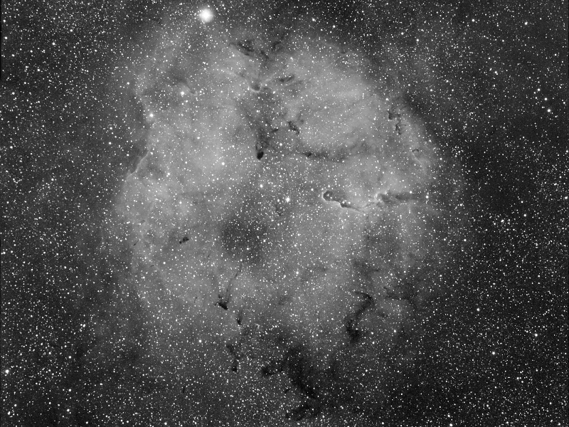 IC1396 mit Elefantenrüsselnebel
