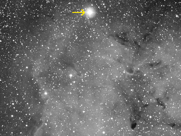 Granatstern am nördlichen Rand von IC 1396 (Pfeil)