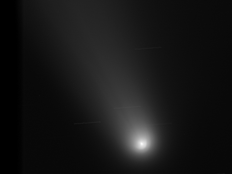 Image of comet C/2020 F3 NEOWISE