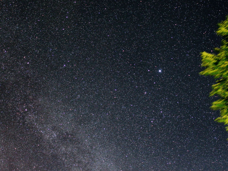 Sternbilder Cygnus und Lyra