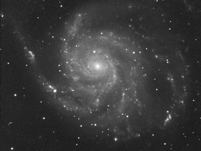 Image of supernova 2023ixf in M 101