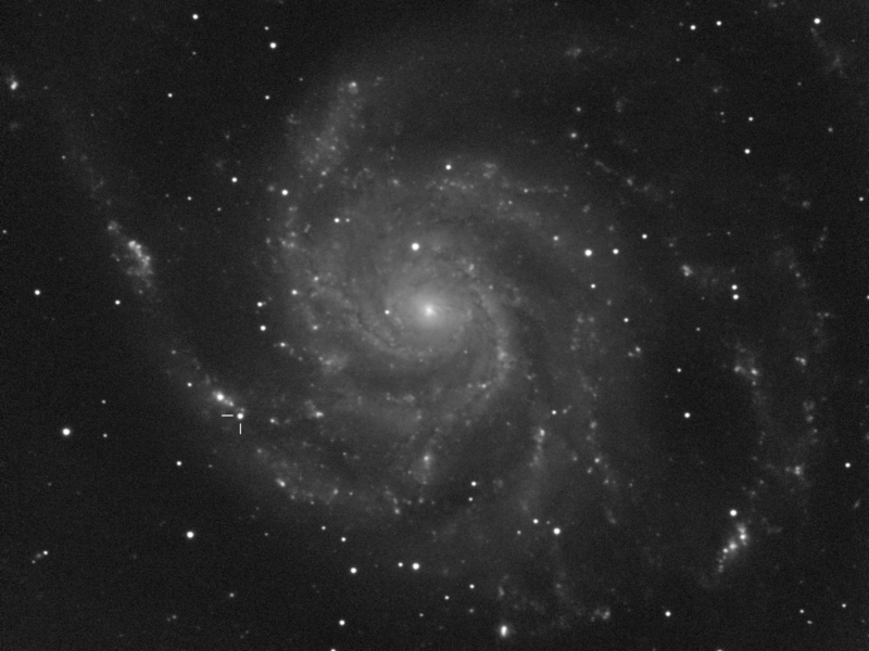 Supernova 2023ixf in M 101 am 09.09.2023