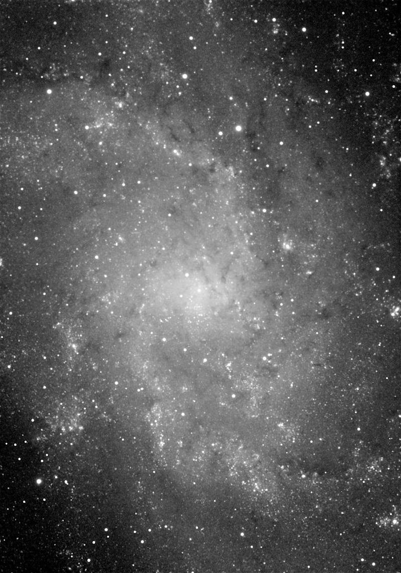 Galaxie M 33 in Tri (Mosaik)
