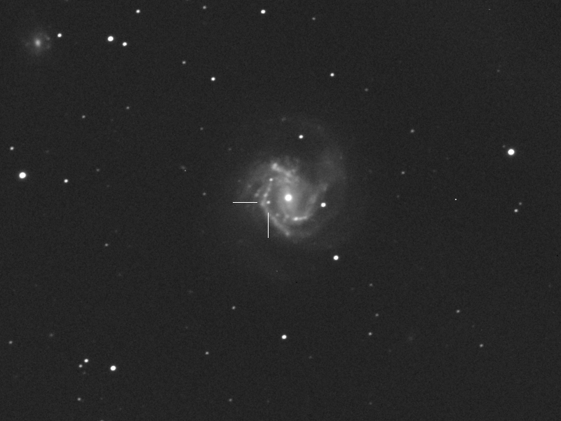 Supernova 2014dt in M61