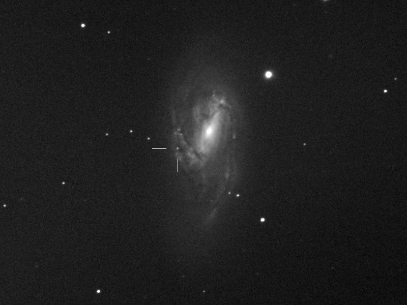 Supernova 2016cok (ASASSN-16fq) in M66