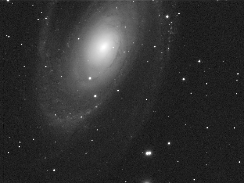 Galaxie M 81 in UMa