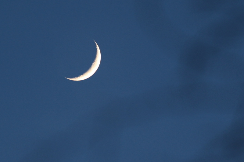 Schöne Mondsichel in der Dämmerung am 14.01.2024