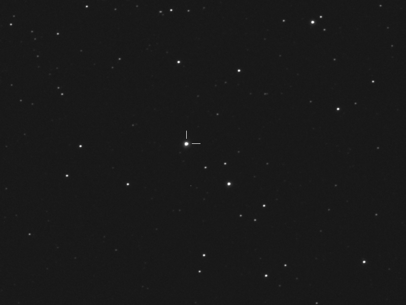 Image of Nova Cas 2021