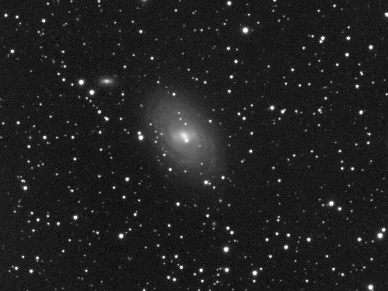 Galaxie NGC 1169 in Per