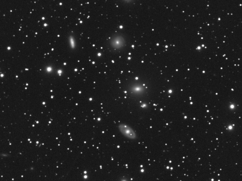 Galaxienhaufen WBL 126 (NGC 2290, 2291, 2288, 2289, 2294) im Gem