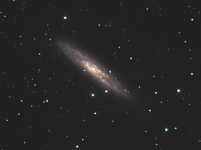 Galaxie NGC 253 in Scl