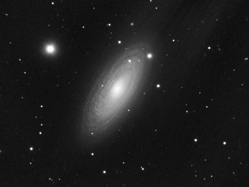 Spiralgalaxie NGC 2841 in UMa