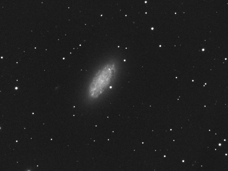 Galaxie NGC2976