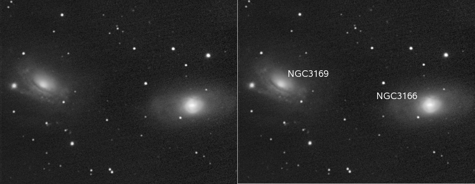 Galaxien NGC3169 und NGC3166