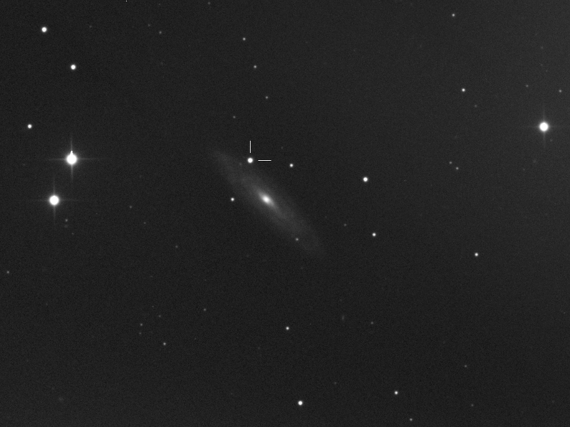 Supernova 2019np in NGC 3254 in LMi