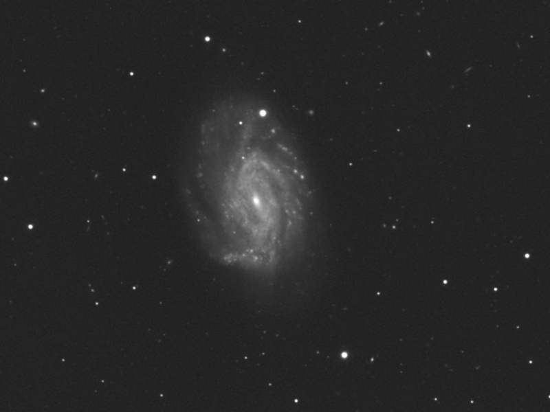 Galaxie NGC&nbsp;3726 in UMa am 01.05.2025