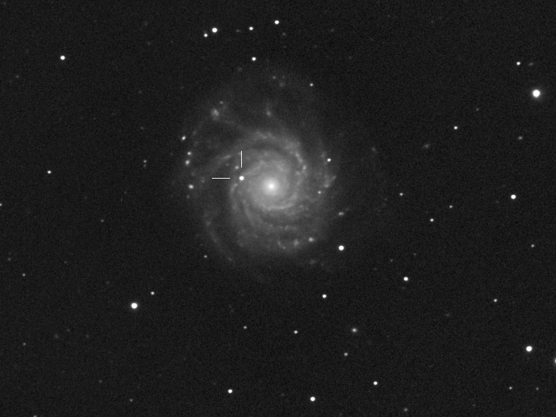 Supernova 2017ein in NGC 3938