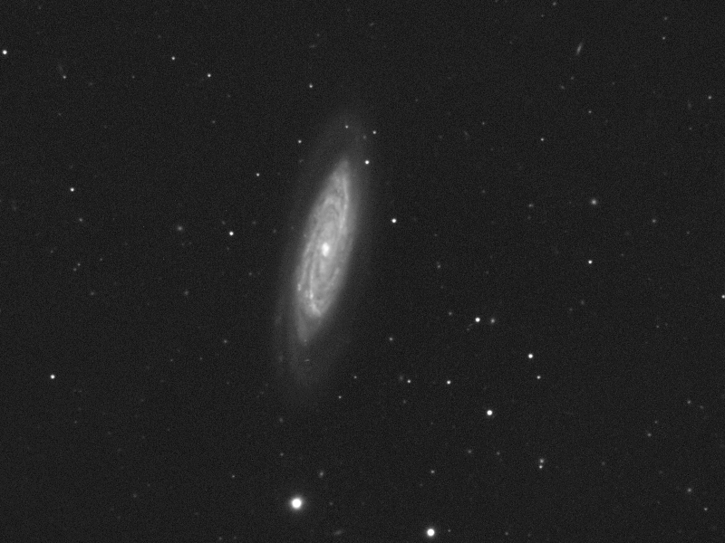Galaxie NGC 4100 in UMa am 09.03.2021