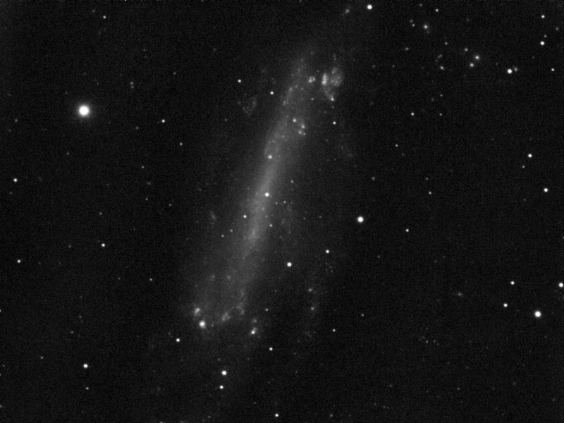 Galaxie NGC 4236 in Dra