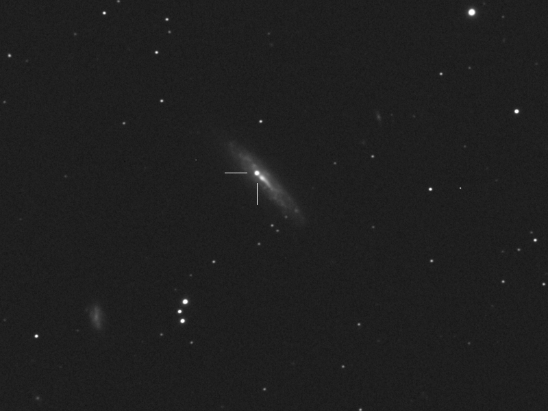 Supernova ASASSN-14lp in NGC4666