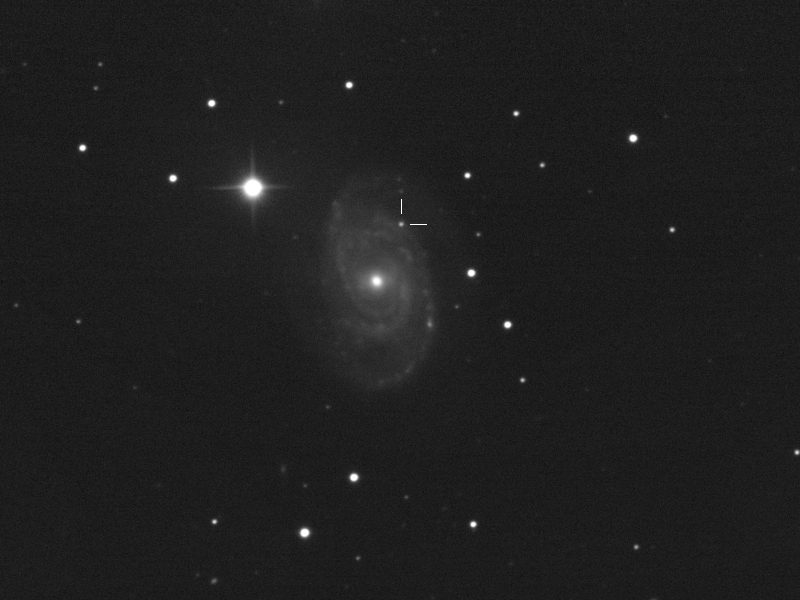 Supernova 2020bio in NGC 5371