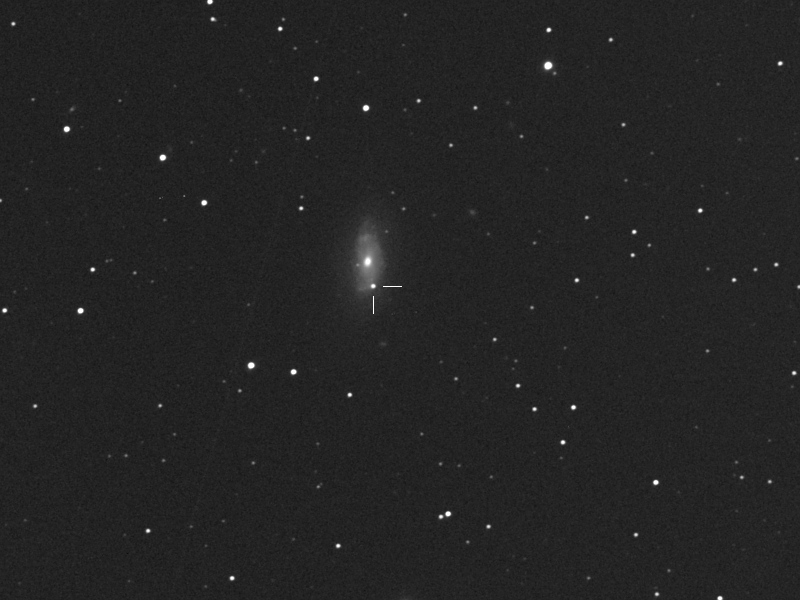 Supernova iPTF13bvn in NGC5806