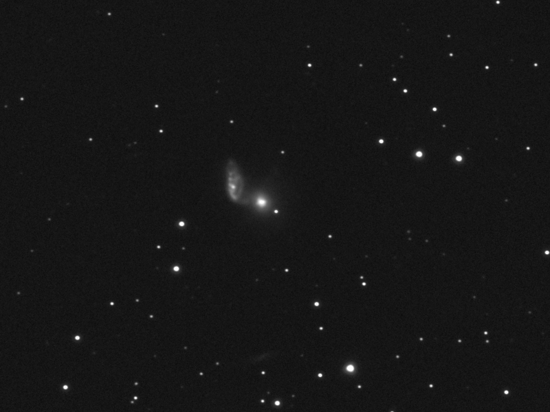Wechselwirkende Galaxien NGC5953 und NGC5954