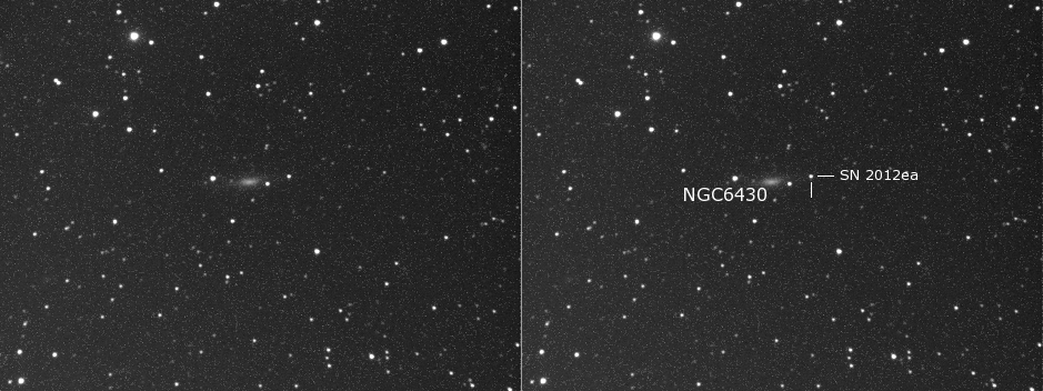 Supernova 2012ea in NGC6430