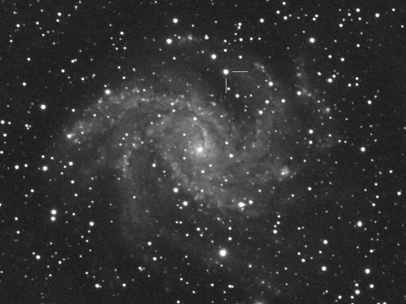Image of supernova 2017eaw in NGC 6946