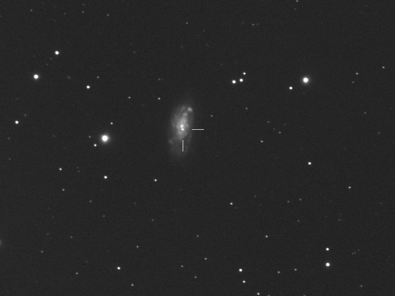 Supernova 2022wsp in NGC 7448