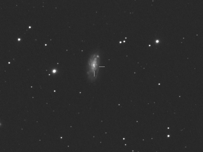 Supernova 2022wsp in NGC 7448