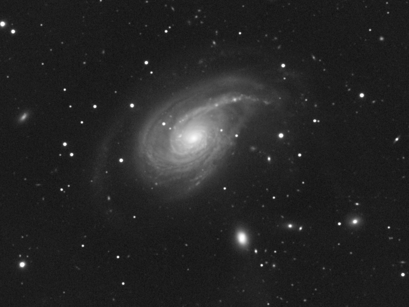 Galaxie NGC 772 in Ari