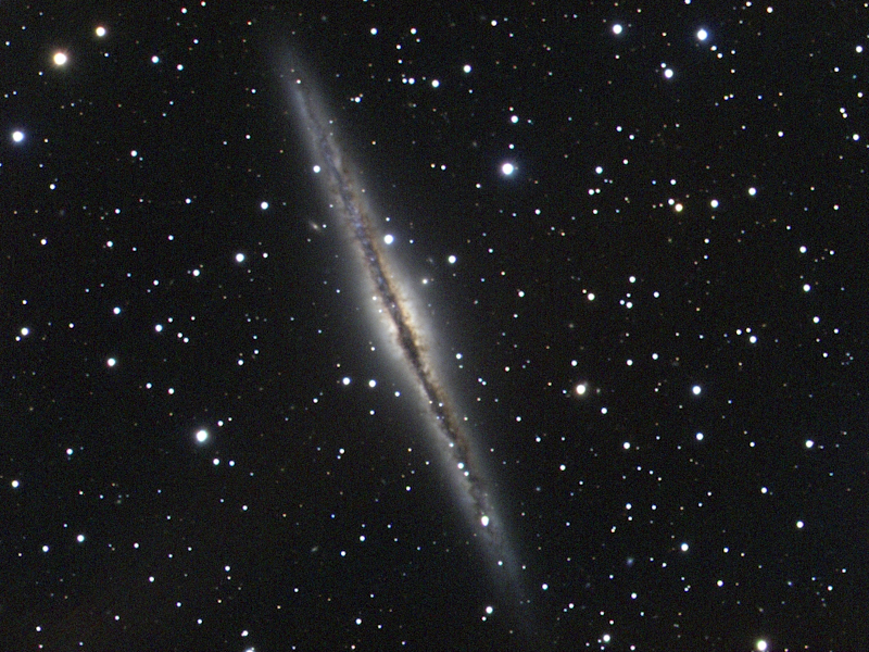 Galaxie NGC 891 in And