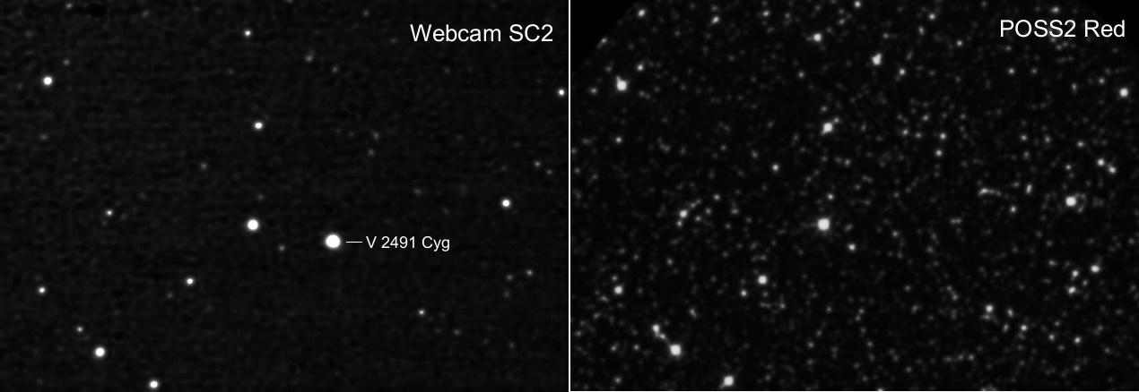 Nova Cygni 2008 No. 2 (=V2491 Cyg)