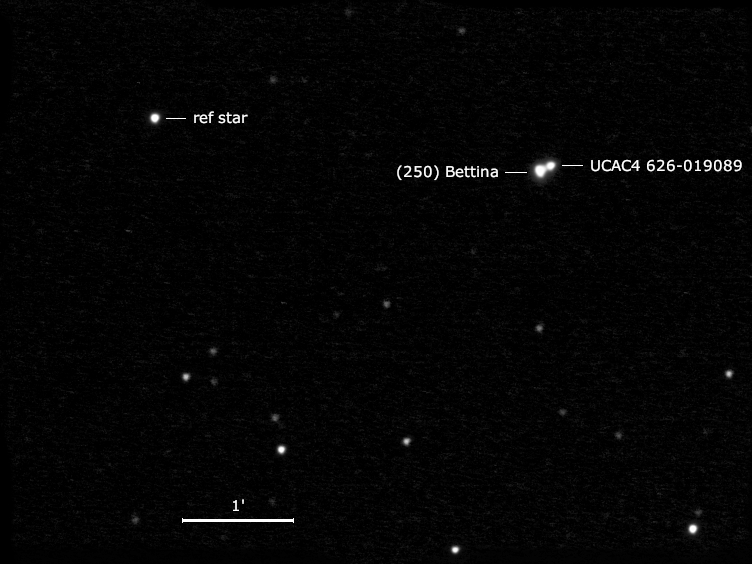 (250) Bettina, UCAC4 626-019089 und Umgebungssterne