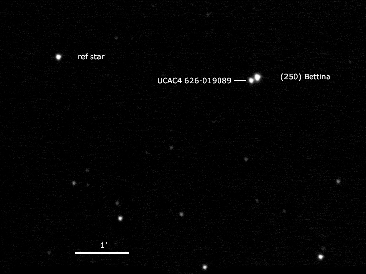 (250) Bettina, UCAC4 626-019089 und Umgebungssterne